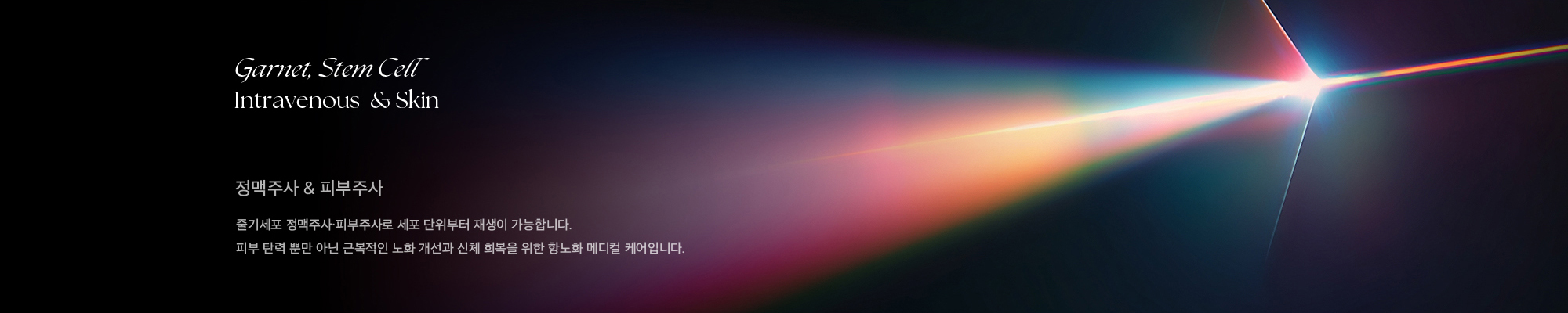 Garnet, Stem Cell Intravenous  & Skin 정맥주사 & 피부주사 줄기세포 정맥주사·피부주사로 세포 단위부터 재생이 가능합니다. 피부 탄력 뿐만 아닌 근복적인 노화 개선과 신체 회복을 위한 항노화 메디컬 케어입니다.