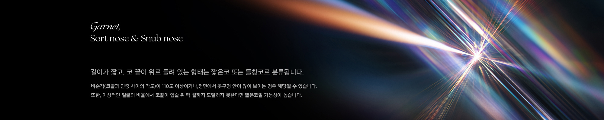 Garnet, Sort nose & Snub nose 길이가 짧고, 코 끝이 위로 들려 있는 형태는 짧은코 또는 들창코로 분류됩니다. 비순각(코끝과 인중 사이의 각도)이 110도 이상이거나,정면에서 콧구멍 안이 많이 보이는 경우 해당될 수 있습니다. 또한, 이상적인 얼굴의 비율에서 코끝이 입술 위 턱 끝까지 도달하지 못한다면 짧은코일 가능성이 높습니다.